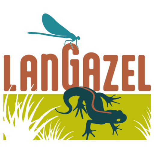 Logo for LangGazel: bold brown letters with a teal dragonfly perched on the 'G', and a dark teal gecko on a lime-green banner with black grass silhouettes.